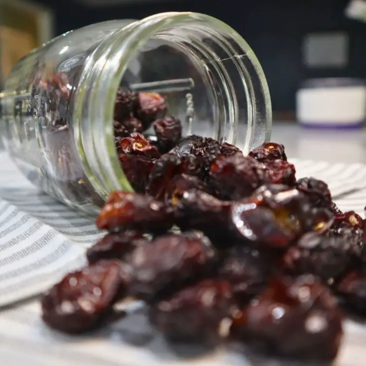 Easy Homemade Raisins (Dehydrated Grapes)