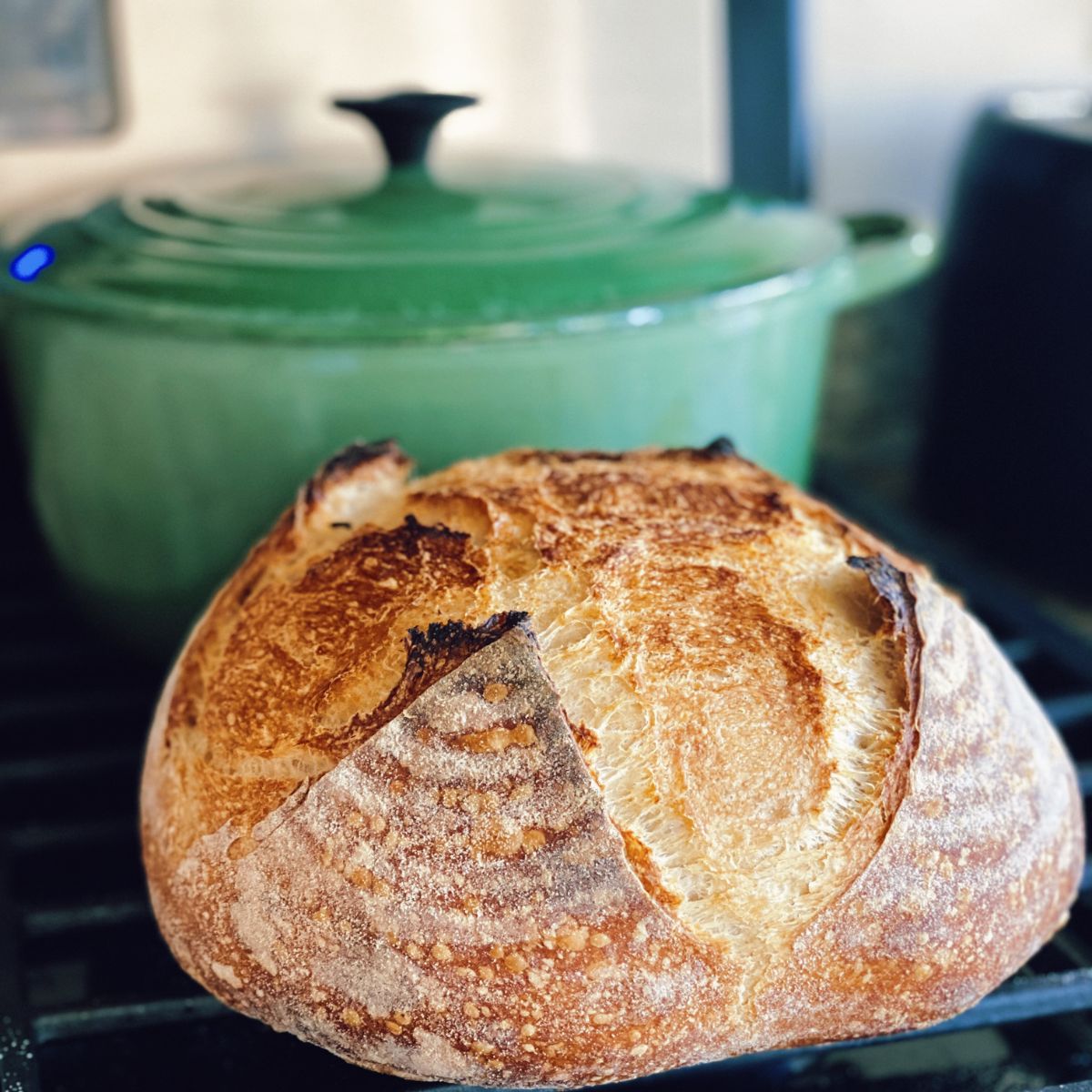 https://feliciagraves.com/wp-content/uploads/2023/06/what-size-dutch-oven-for-sourdough-bread-2.jpg