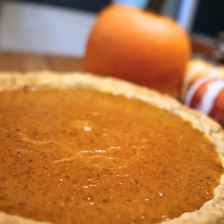 Costco Pumpkin Pie Recipe (Easy Copycat Recipe)